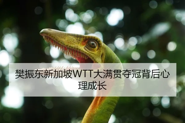 樊振东新加坡WTT大满贯夺冠背后心理成长